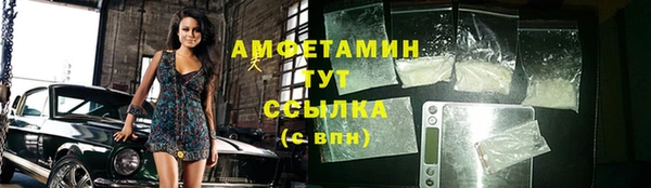индика Карталы