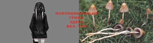 индика Карталы