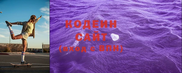 индика Карталы
