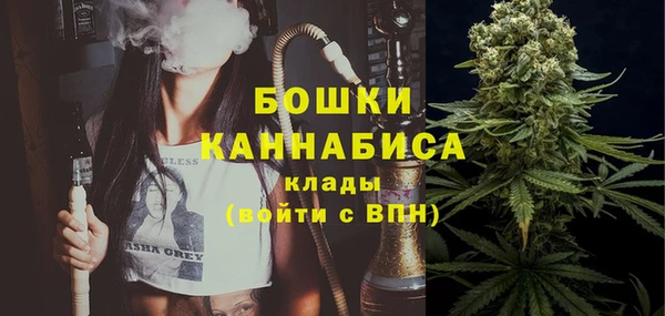 индика Карталы