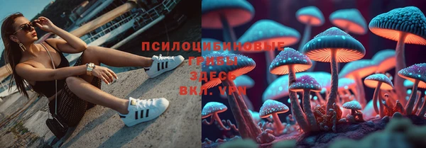меф Карпинск