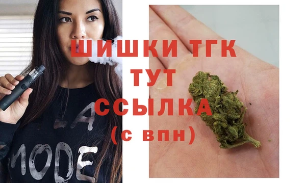 индика Карталы