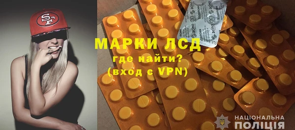 индика Карталы
