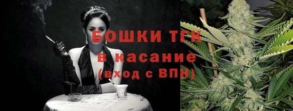 индика Карталы