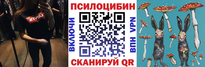 Галлюциногенные грибы Magic Shrooms Купить закладки Дзержинский