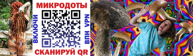 Псилоцибиновые грибы Psilocybine cubensis Дзержинский